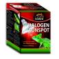 Preview: Halogen Sunspot Halogen Spotstrahler